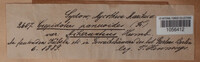 Image Associated With the Occurence